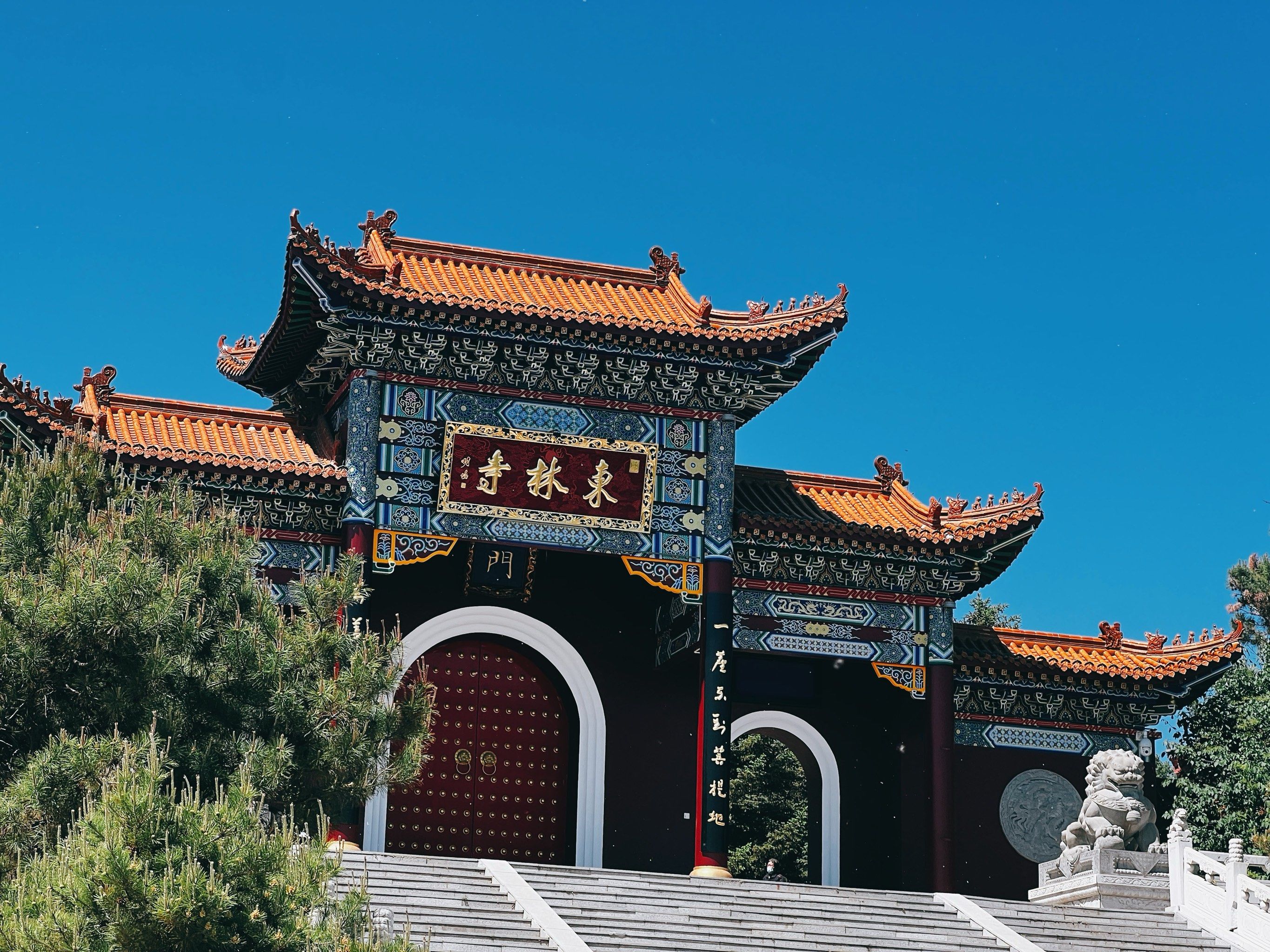 心向神灵,一段新的旅程