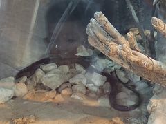 -鄂尔多斯野生动物园