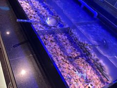 水产区-盛江山自助料理(奥莱锦辉购物广场店)