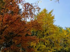 -苏州河梦清园环保主题公园