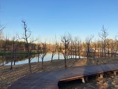 -东郊湿地公园