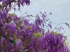 -沂蒙云瀑洞天景区