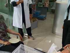 -利又安动物医院··老年病·猫科犬科·中兽医