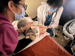 -美联众合动物医院·24h转诊中心