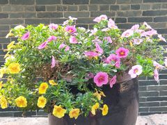 -华南国家植物园-售票处