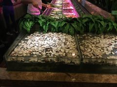 -大漠风烤肉火锅自助餐厅(鹰展店)
