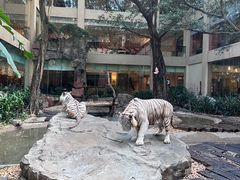 -白虎自助餐厅·真老虎·景观自助餐厅(广州长隆酒店)