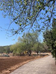 -浅山蜜塘奇妙乐园·亲子营地