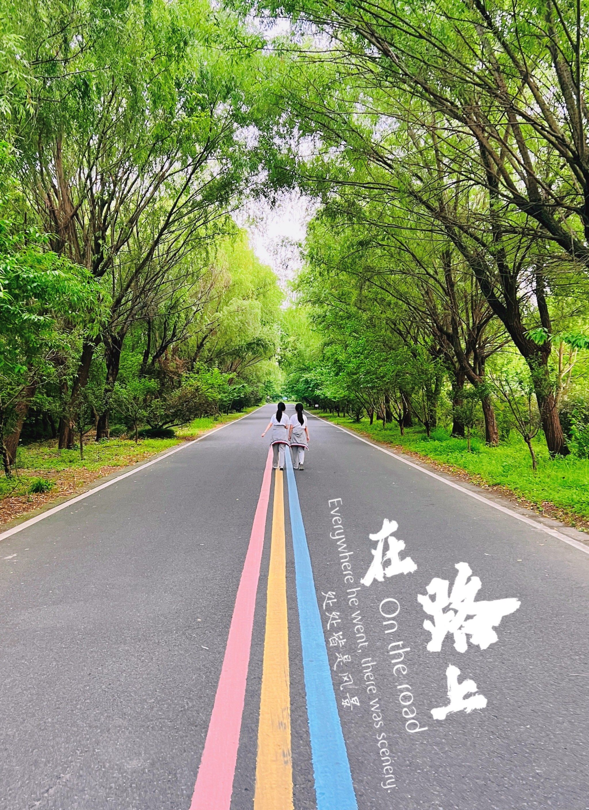 在路上,处处皆是风景!