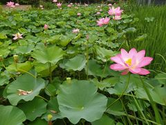 -常州奔牛国际机场