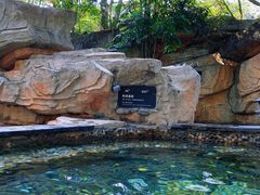 -海口观澜湖火山温泉谷