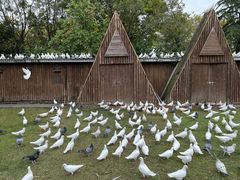 -上海野生动物园
