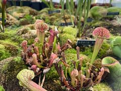 -国家植物园南园