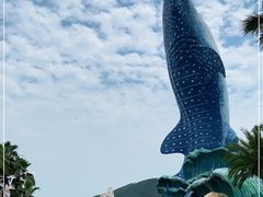 -珠海长隆海洋王国