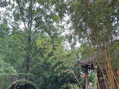 -桤木河湿地公园