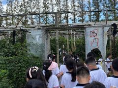 -前小桔亲子创意农场·草莓采摘·露营烧烤