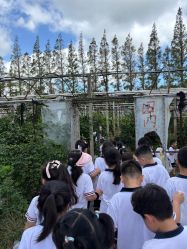 -前小桔亲子创意农场·草莓采摘·露营烧烤