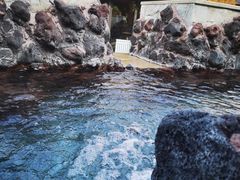 -汉拿山温泉度假酒店