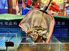 -熊记虾王·小龙虾(东晓南店)