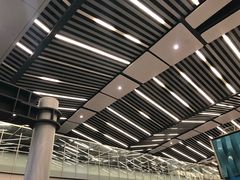 -西沃古尔·拉姆古兰爵士国际机场