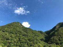 -牛背梁国家森林公园