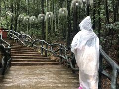-石燕湖生态旅游景区