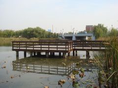 -新江湾城公园