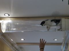 -萤火虫咖啡(后海店)