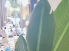 -iF摄影•全家福•证件照•形象照(南山店)