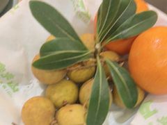 -季季山·云南野生菌火锅(上海首店)