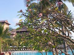 -海南棋子湾开元度假村·祺咖啡自助餐厅