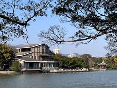 -江心屿景区