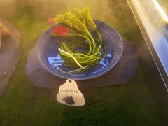 -芸山季·云南野生菌火锅(宝能环球汇店)