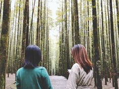 -山王坪喀斯特国家生态公园