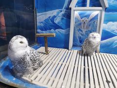 -成都浩海立方海洋公园