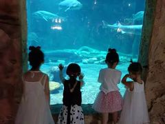 -华夏文旅海洋公园