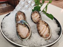 鲍鱼-川越泰火锅(吉利大厦店)