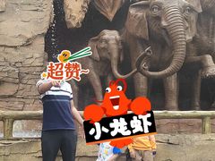 -贵州森林野生动物园
