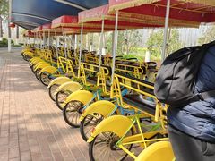 -合肥滨湖国家森林公园