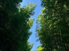 -黄公望隐居地