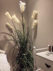 点击看大图 -阅年轻·AI家庭健康体质调理