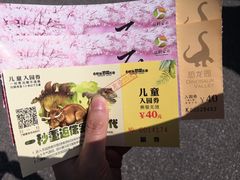 -自然谷恐龙园
