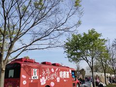 -苏州上方山国家森林公园