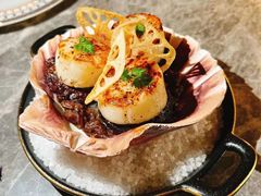 -Hi City·城市之巅