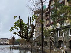 -深圳东部华侨城茵特拉根酒店