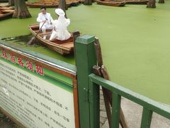-渌洋湖湿地公园