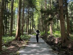 -罗田薄刀峰风景区
