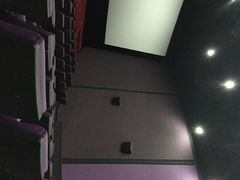 幸福蓝海国际影城(河西中央商场店)-幸福蓝海国际影城(河西店)