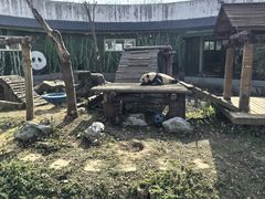 -南昌动物园