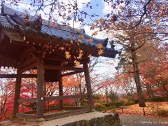 -常寂光寺